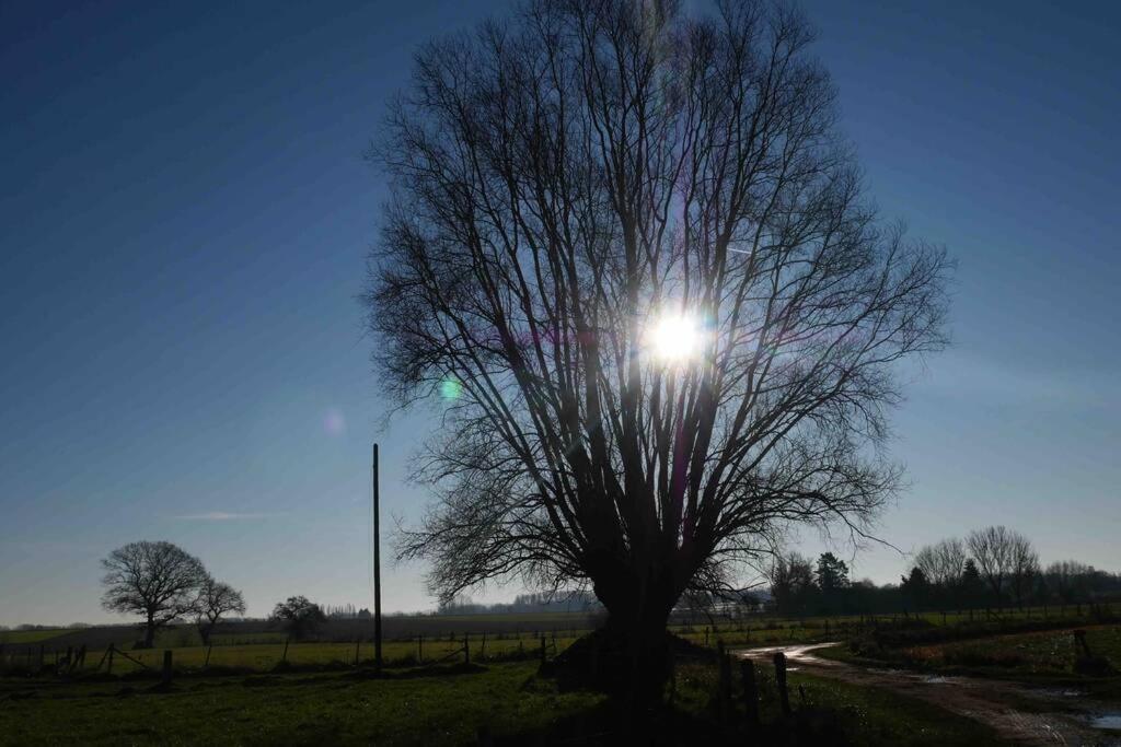 Gite L 'Ecurie A La Campagne Flines-Les-Mortagne Bagian luar foto