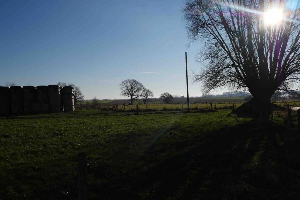 Gite L 'Ecurie A La Campagne Flines-Les-Mortagne Bagian luar foto