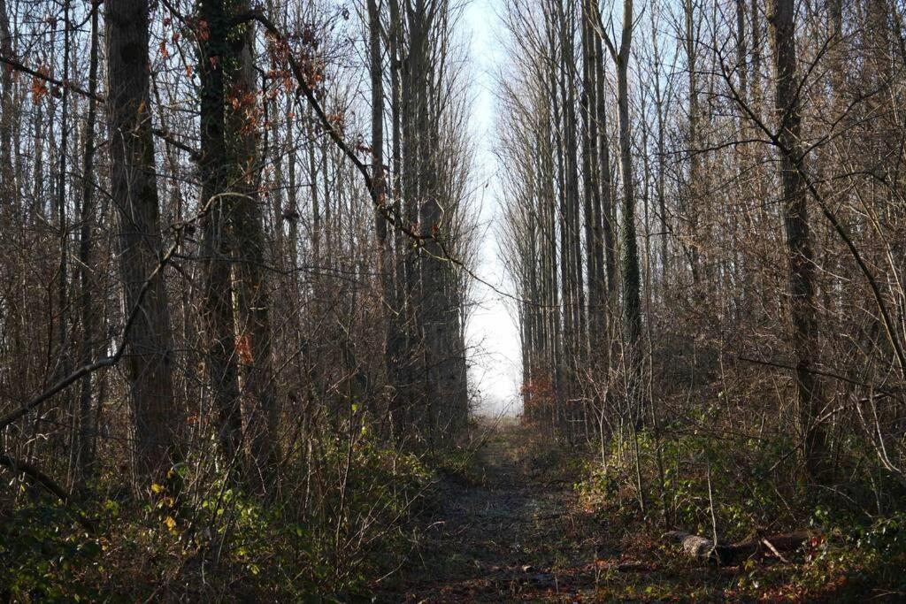 Gite L 'Ecurie A La Campagne Flines-Les-Mortagne Bagian luar foto